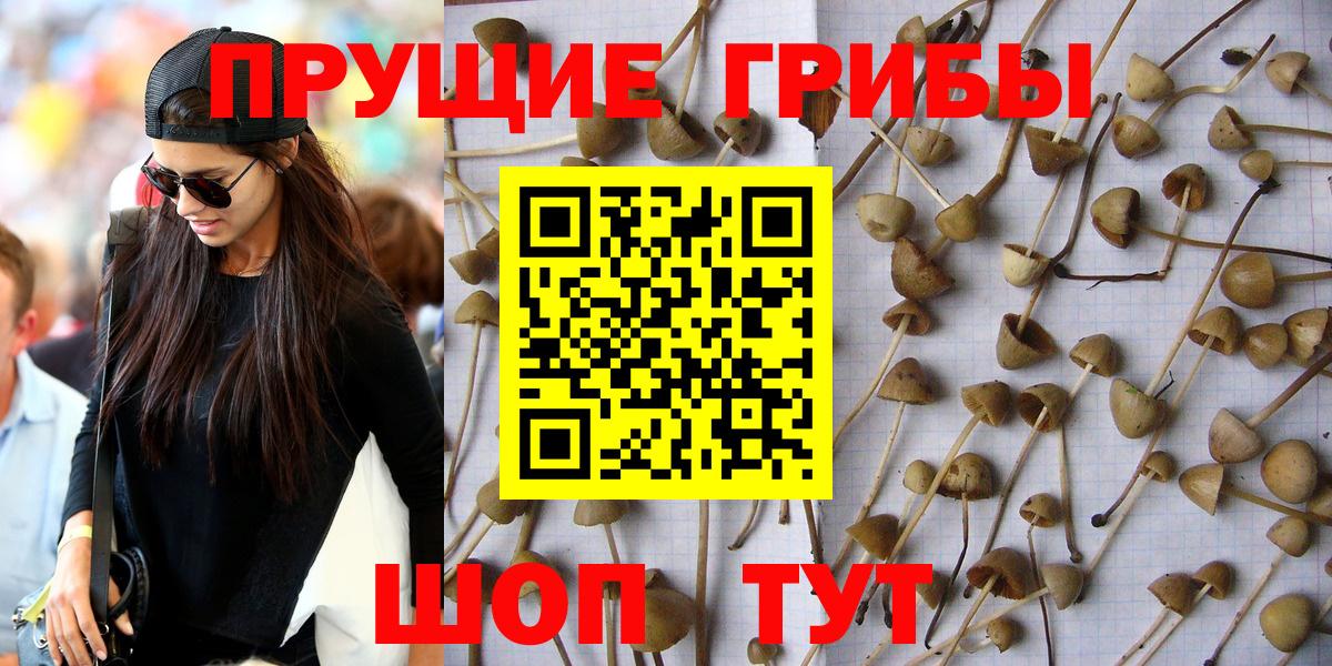 Галлюциногенные грибы мицелий  Вход с VPN  Домодедово 